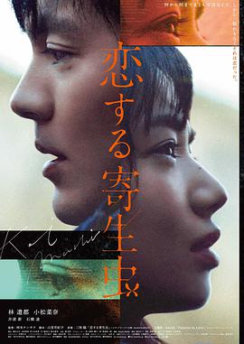 治愈题材中的辽阔旷野画面